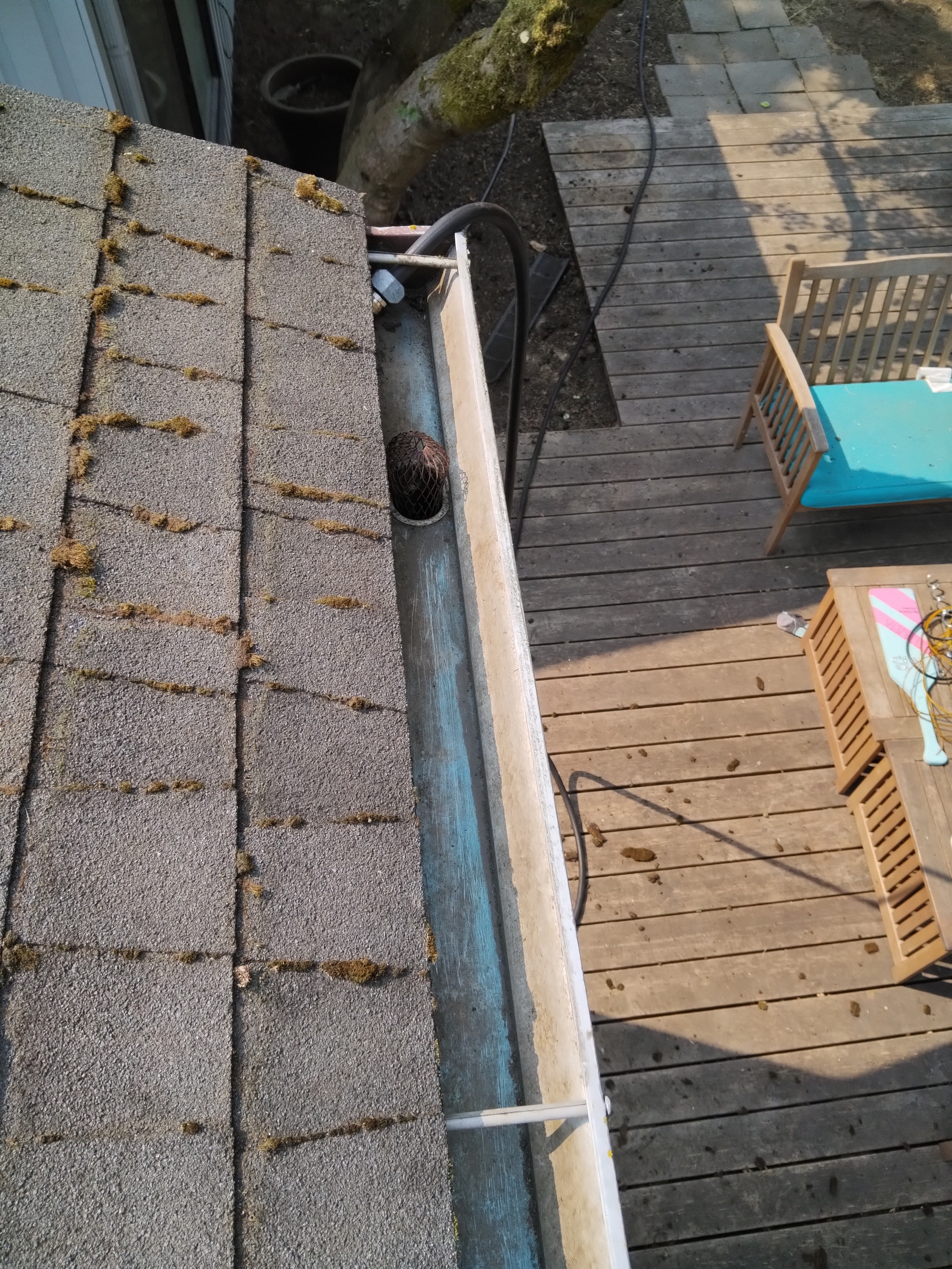 Gutter cleaning service clearing debris in Eugene, OR
