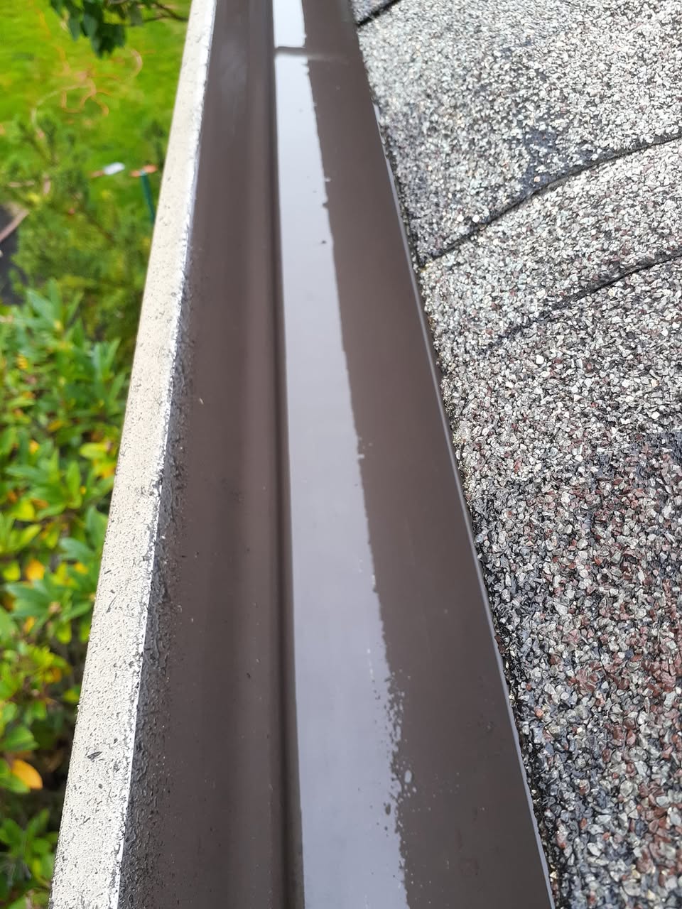 Cleared gutters after professional service in Eugene, OR