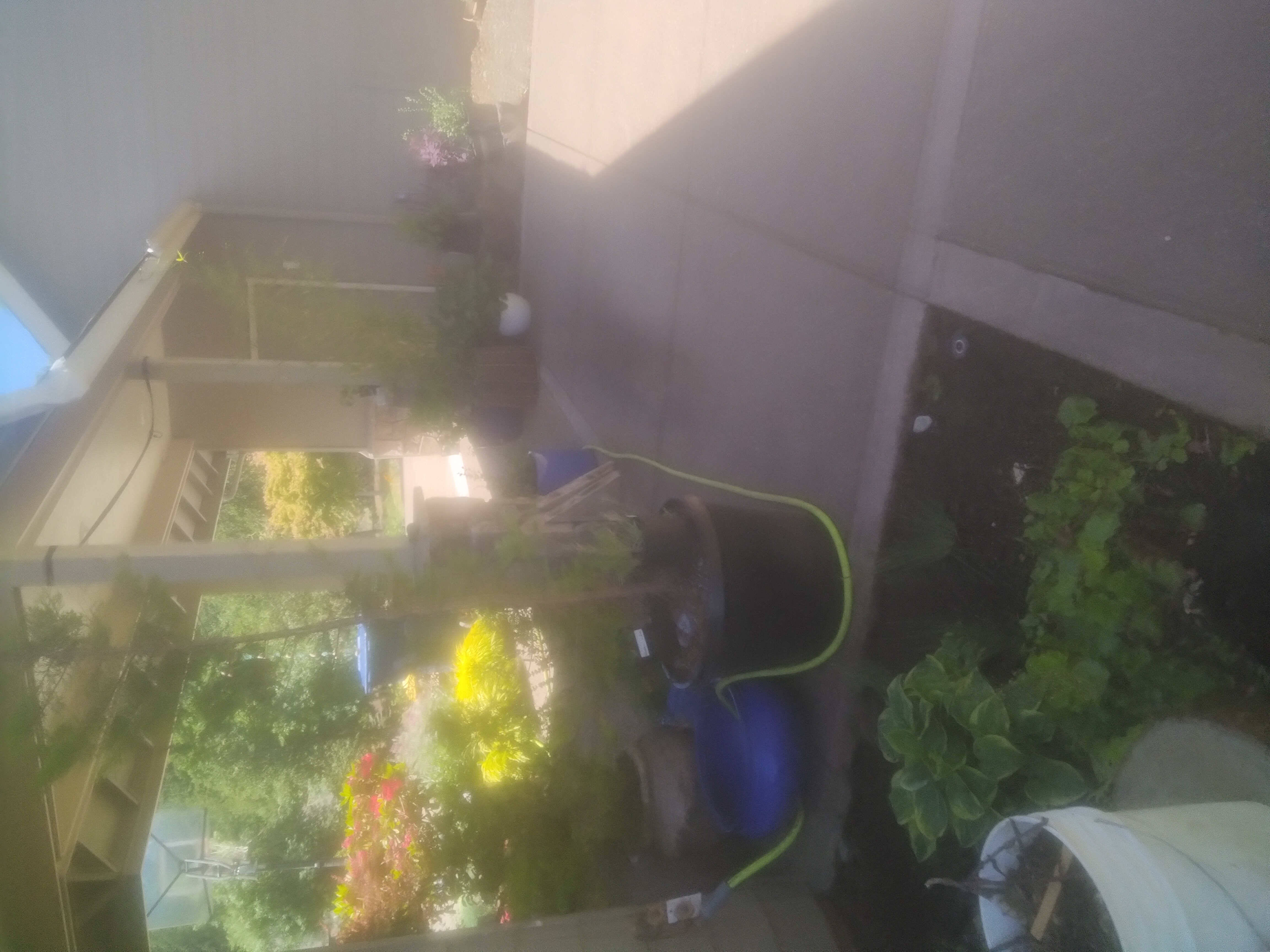 Pressure-washed patio area in Eugene, OR
