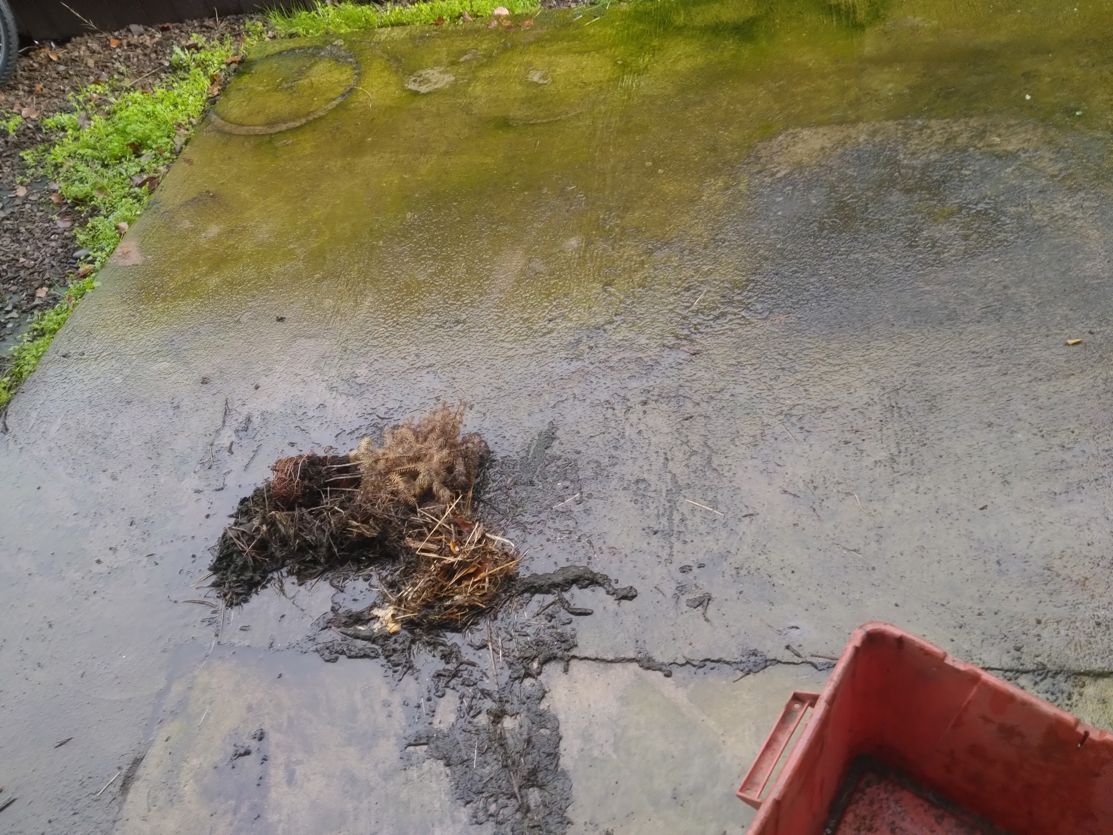 Walkway pressure washing for safety in Eugene, OR