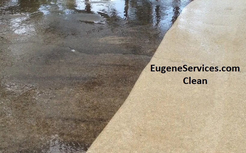 Patio cleaning and sealing service in Eugene, OR