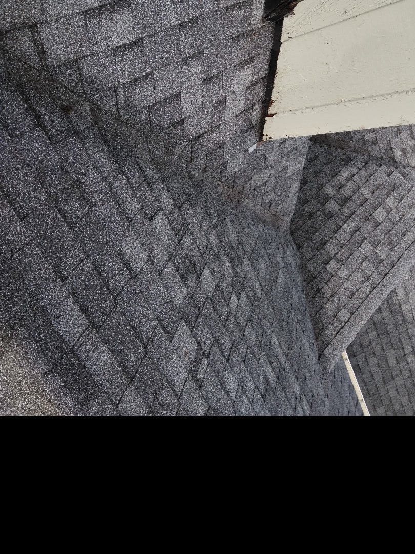 Roof treatment preventing moss regrowth in Eugene, OR
